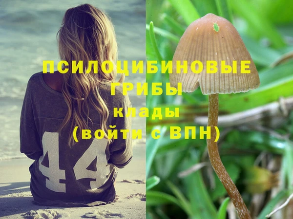 не бодяженный Касимов