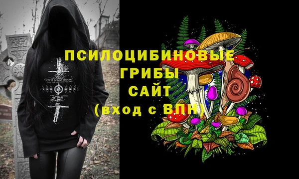 прущие крисы Шарыпово
