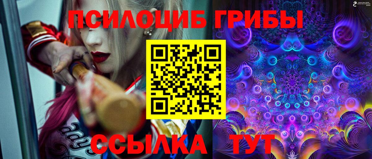 Галлюциногенные грибы MAGIC MUSHROOMS Волгодонск