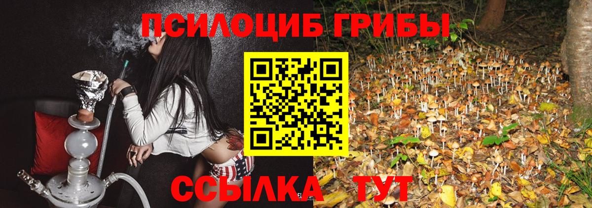 Галлюциногенные грибы Cubensis Волгодонск