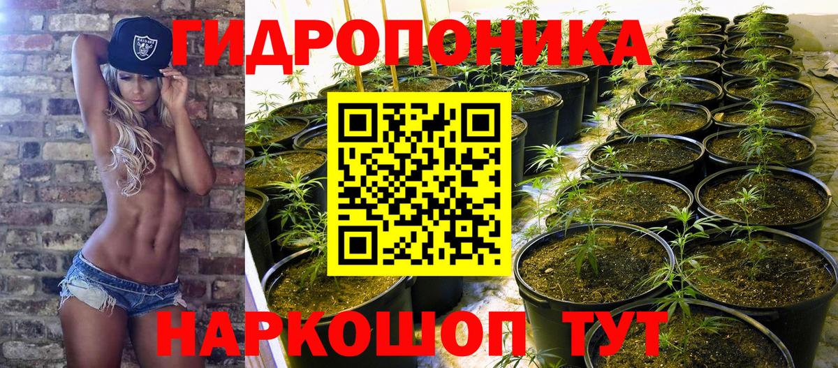 МАРИХУАНА гибрид Волгодонск